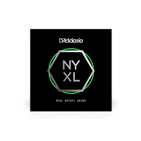 D`ADDARIO NYNW058